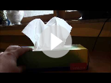 Randcco Interim